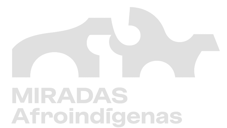 miradas indigenas